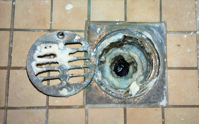 https://blockeddrainsmenora.com.au/uploads/2025/07/blocked-shower-drains-33151.jpg