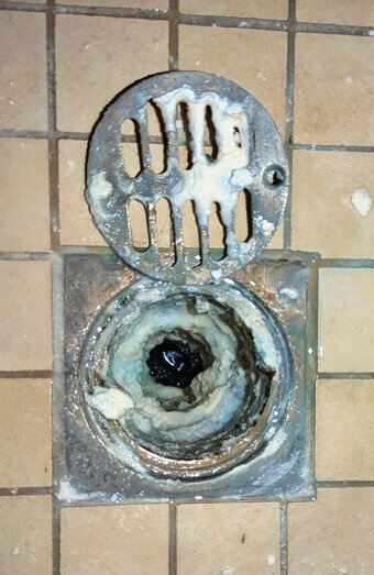 https://blockeddrainsmenora.com.au/uploads/2025/07/blocked-shower-drains-86331.jpg