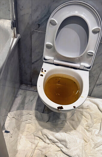 https://blockeddrainsmenora.com.au/uploads/2025/07/blocked-toilet-27793.jpg
