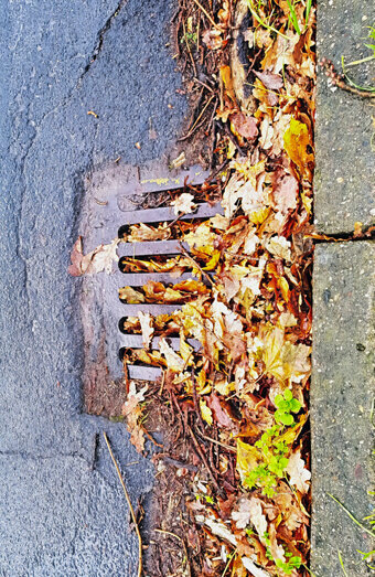 https://blockeddrainsmenora.com.au/uploads/2025/07/stormwater-drains-48051.jpg